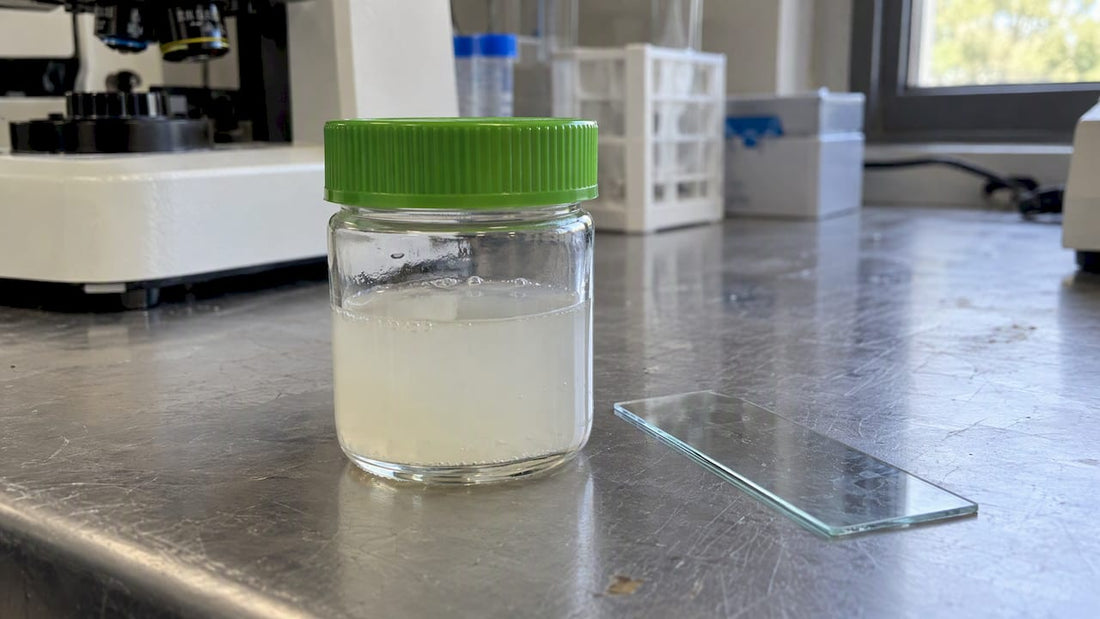 Laborprobe einer liposomalen CBD-Formulierung
