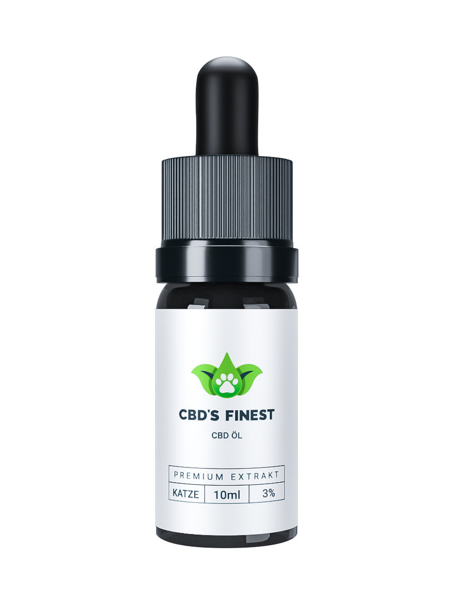 Cf-Finest-Katze-oel-03