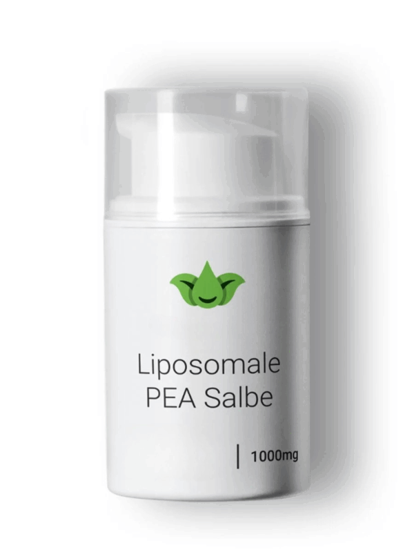 Salbe 1000 mg 50 ml